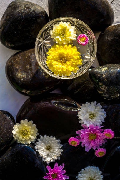 istock Black stones and flowers 1185106698