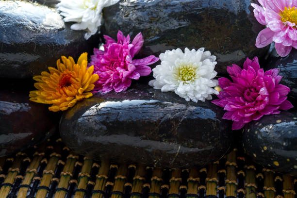 istock Black stones and flowers 1185106719