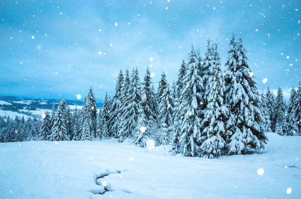 istock Beautiful winter landscape with snow on the trees 1185108275