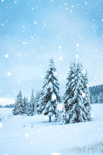 istock Beautiful winter landscape with snow on the trees 1185108277