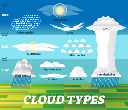 Cloud types vector illustration. Labeled air scheme with altitude division. Nature weather meteorological and geographical info graphic with stratus, cumulus, anvil and cirrus classification examples.