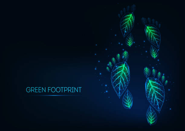 illustrazioni stock, clip art, cartoni animati e icone di tendenza di futuristiche impronte ecologiche verdi poligonali basse e luminose fatte di foglie su sfondo blu scuro. - environmental footprint