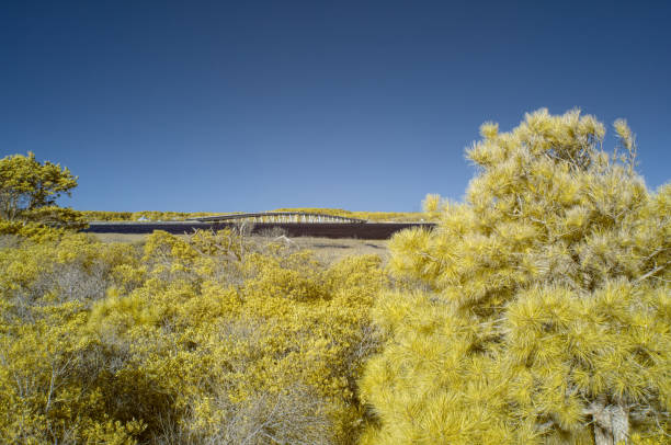 assateague острова национального побережья верразано мост - infrared landscape bridge blue стоковые фото и изображения