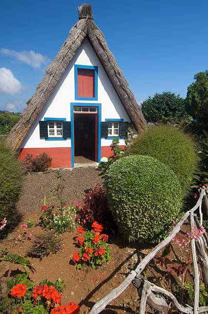 maisons de madère - madeira funchal house cottage photos et images de collection