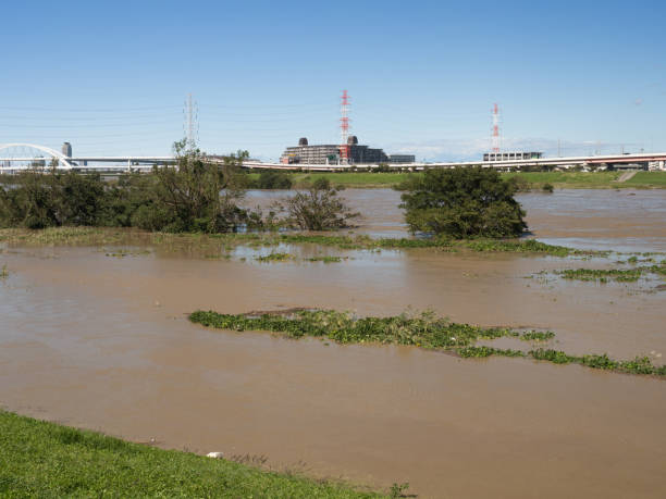 istock Arakawa in Tokyo was flooded by a typhoon 1185125897