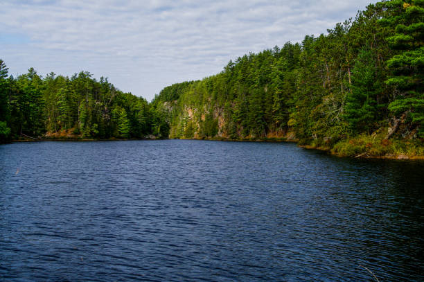 istock Barron River near the Canyon 1185129931