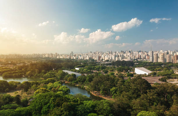 vue aérienne du parc d'ibirapuera à sao paulo, brésil - urban nature photos et images de collection