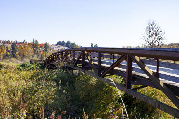 istock Wooden bridge sitting quietly in countryside 1185141135