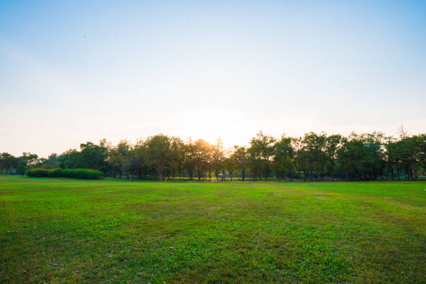 istock sunny day in park with blue sky, City park 1185141186