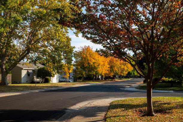 istock Fall City Street with Trees in Fall Colors 1185147103