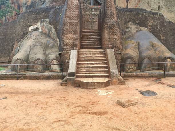 istock Lion Paw Stairs 1185153066