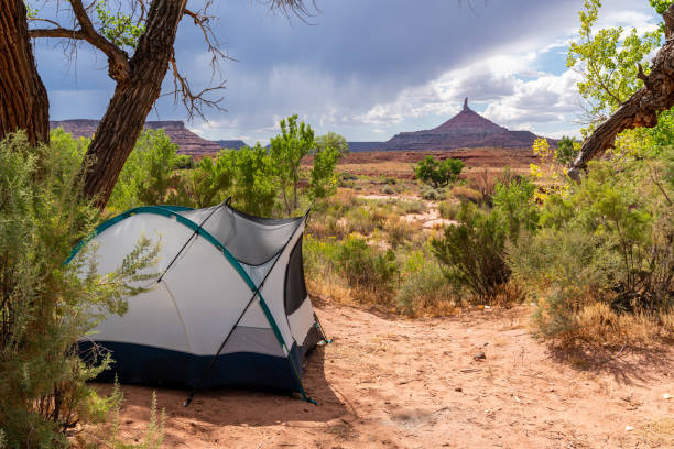 istock Woman Hiking and Climbing around Moab, Utah 1185153806
