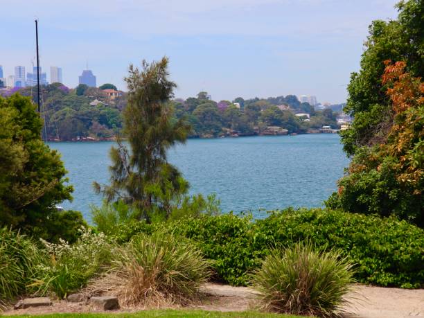 istock Views of Sydney Harbour Foreshore 1185159134