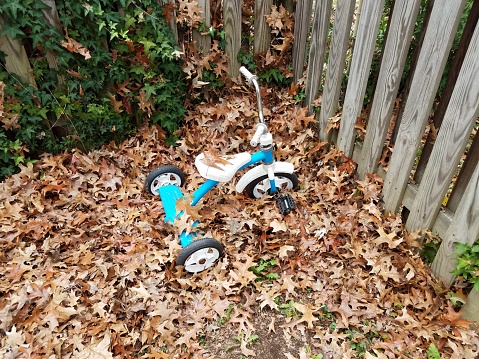 blue and white tricycle on brown leaves and wooden fence