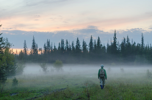 A tourist girl with a backpack goes into the fog in the forest in the evening at sunset in the wild taiga of Northern Yakutia in Russia.