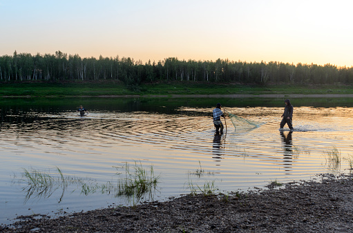 Two men Yakuts and graceful girl in a shawl to go in wading boots with fish net on the wildlife in the river Vilyuy in a forest traditionally catching local fish tugunok.