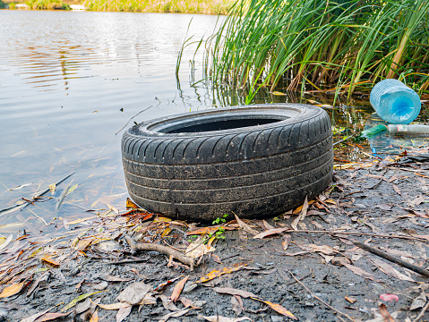 A car wheel is thrown into the lake. Environment. Garbage dump.