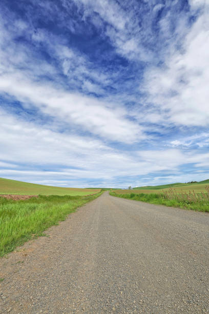 istock Country Road in Eastern Washington 1185170736