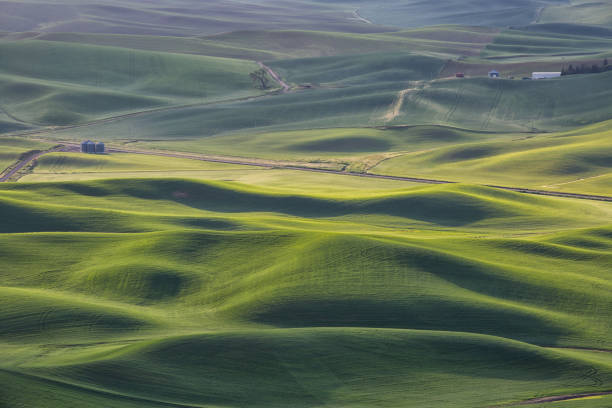 istock Palouse Rolling Hills at Sunrise 1185170789