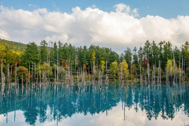 istock The Blue Pond, Hokkaido Japan 1185173483