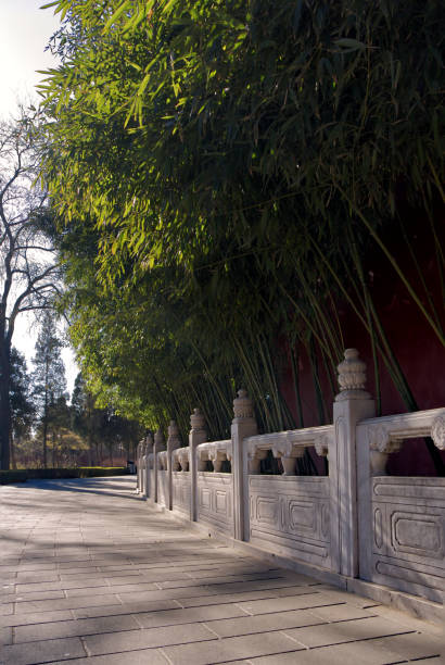 istock ancient marble fence along the evergreen paths in a bamboo forest 1185174777