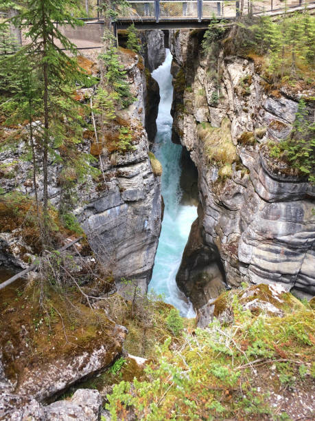 istock scenic deep slot Maligne Canyon formed by a mountain river flowing down from glaciers, Canadian Rocky Mountains 1185176405