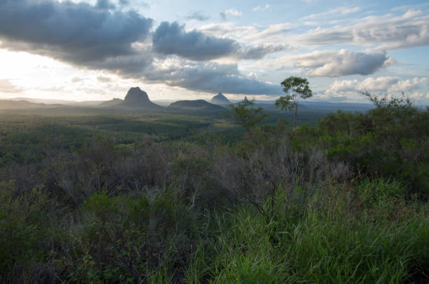 istock Glass House Mountains at sunset 1185177702