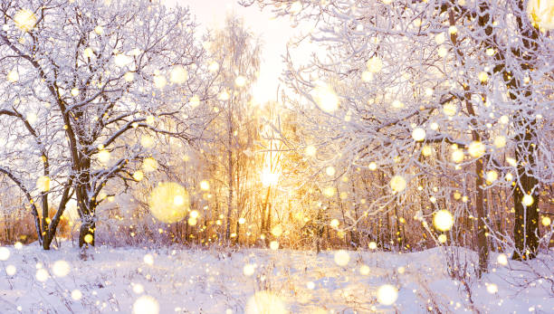 istock snowy winter landscape panorama 1185182875