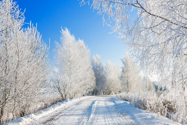 istock snowy winter landscape with forest and road 1185183098