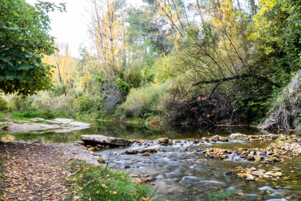 istock View of the river with rocks 1185189656