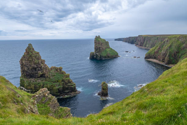 istock Sea stacks, Duncansby Head, Route NC500, Scottish Highlands 1185192887