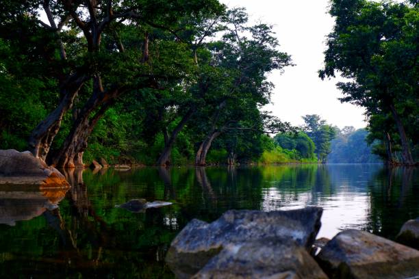 istock Beautiful Nature Wallpaper 1185193792