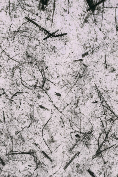 istock Abstract gray texture and background for designers. Vintage grey paper background. Rough gray texture of recycled paper. Closeup view of abstract gray texture. Vintage gray paper. 1185195769