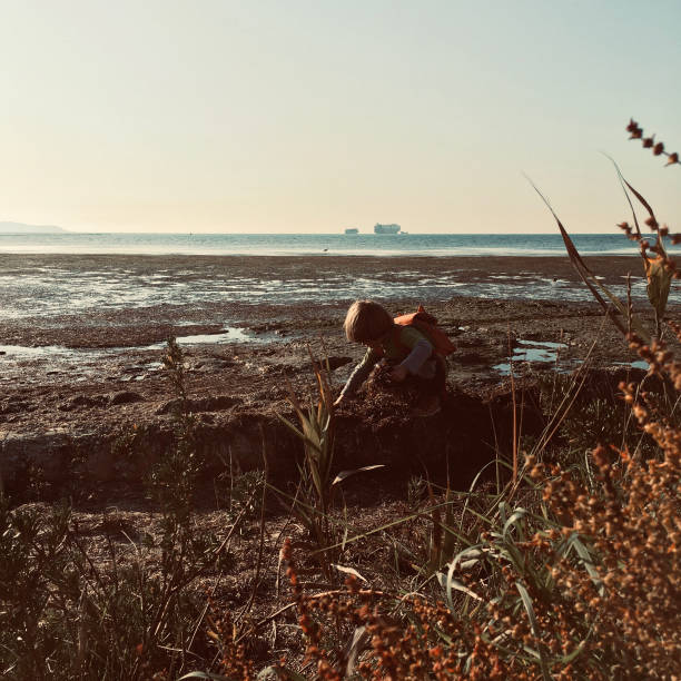 istock Toddler boy discovering wild beach 1185197390