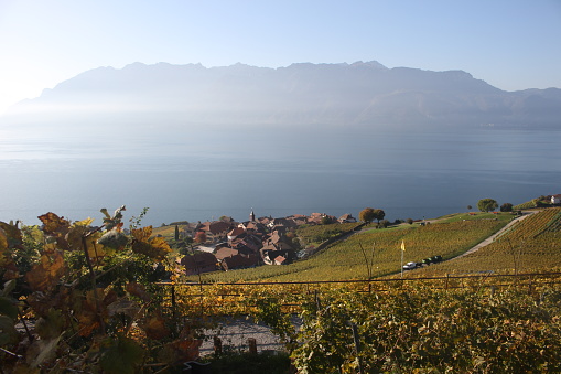 Beautiful dreamlike view at Saint Saphorin, Lake Geneva, Switzerland, Europe