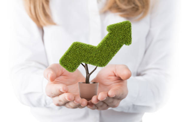 istock Woman holding arrow shaped plant 1185198589