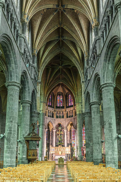 bélgica, dinant - collegiate notre-dame de dinant - nave - fotografias e filmes do acervo