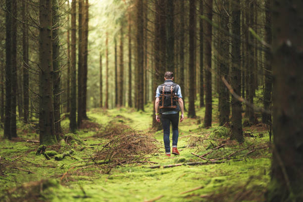 samotny podróżnik cieszący się skandynawskim charakterem - wilderness area zdjęcia i obrazy z banku zdjęć