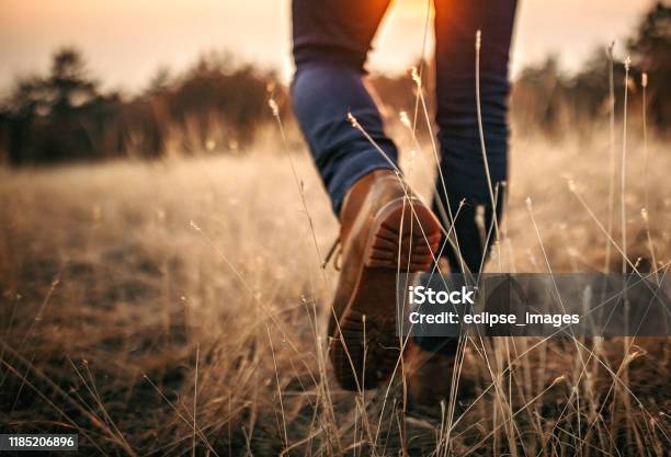 Man Walking In Nature Stock Photo - Download Image Now - Walking, Footpath, Nature