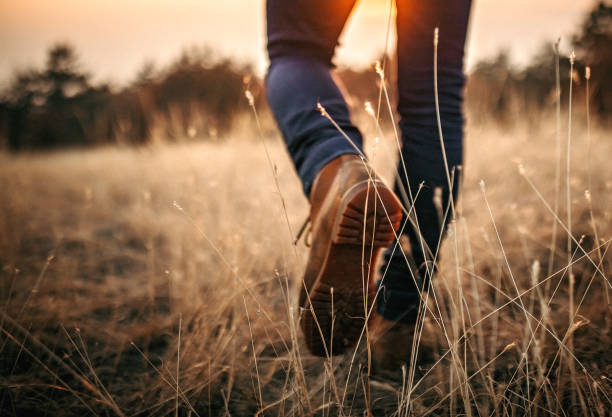 passeio do homem na natureza - walking shoe human foot footpath - fotografias e filmes do acervo