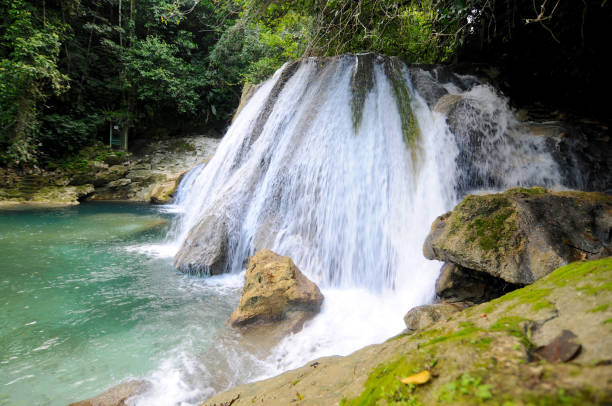View of Reach falls in Jamaica stock photo