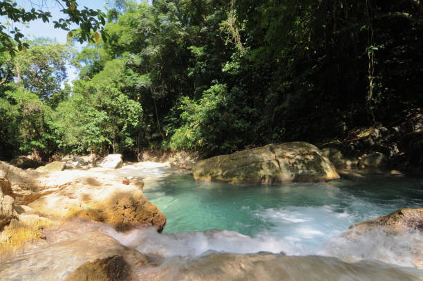 istock Driver's river near Reach falls in Jamaica 1185208011