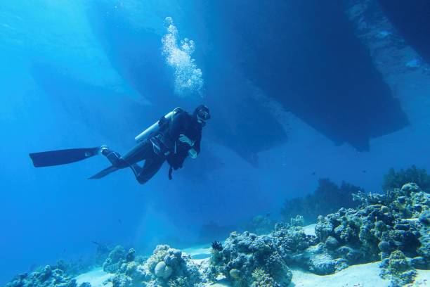 подводный дайвер спускается в море, три лодки силуэты над ним. - scuba diving animal water one person стоковые фото и изображения