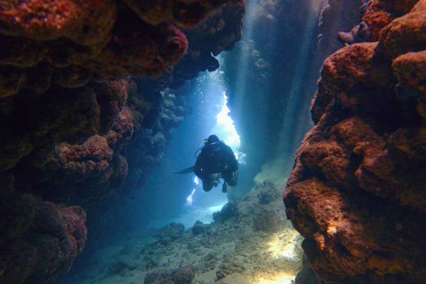 istock Scuba diver inside the underwater cave in beautiful natural light 1185210481