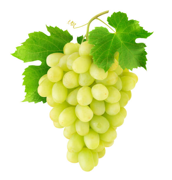 istock Isolated bunch of white grapes 1185211448