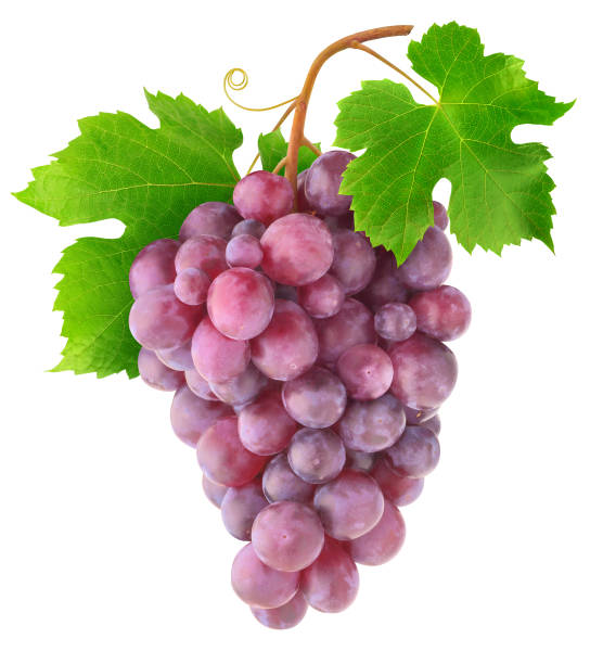 istock Hanging bunch of red grapes 1185211497