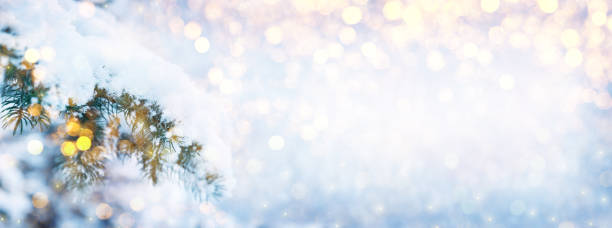 istock Winter fir tree Christmas scene with sunlight. 1185213373