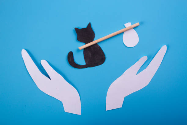 istock Homeless cat concept 1185213542