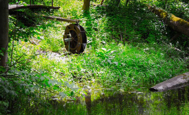 istock Peaceful and beautiful forest brook. Summer background. 1185213621