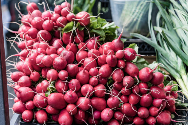 istock Radishes at the Market Stall 1185213795